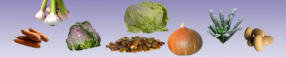 Les légumes du potager bio sont des alicaments.