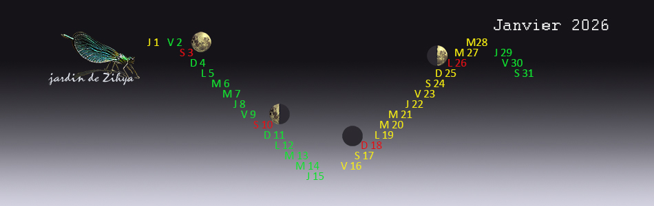 Phase de la lune en janvier.