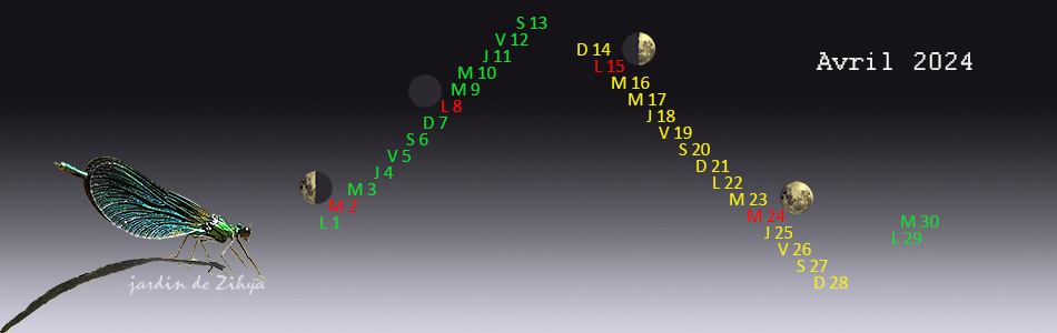 Phases de la lune en avril 2023.